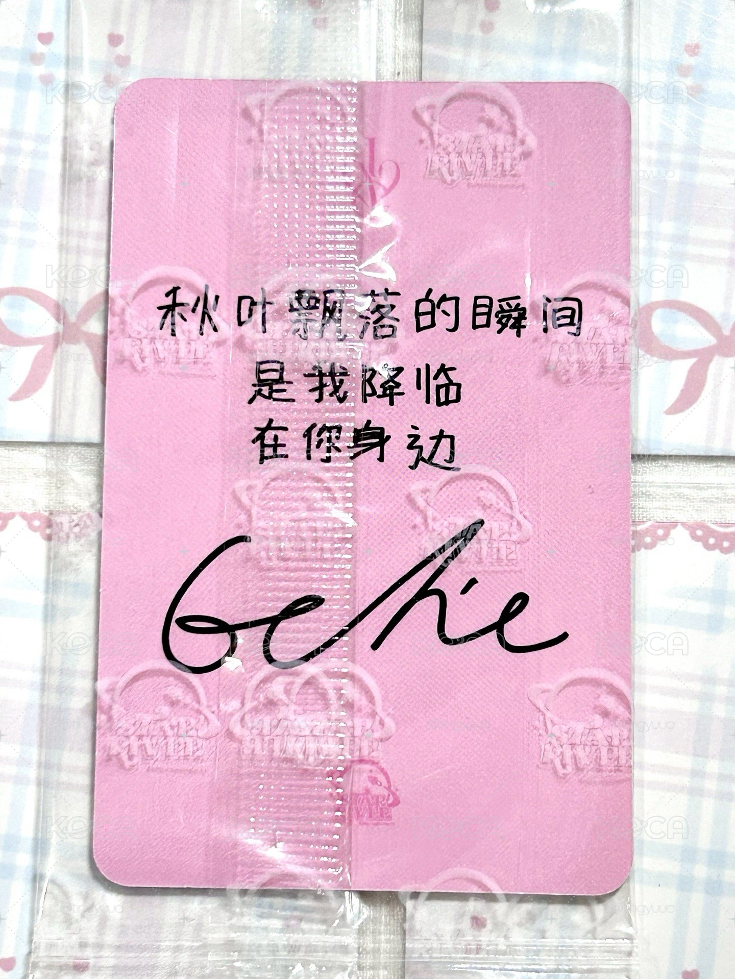sr秋 秋葉飄落的瞬間 是我降臨在你身邊