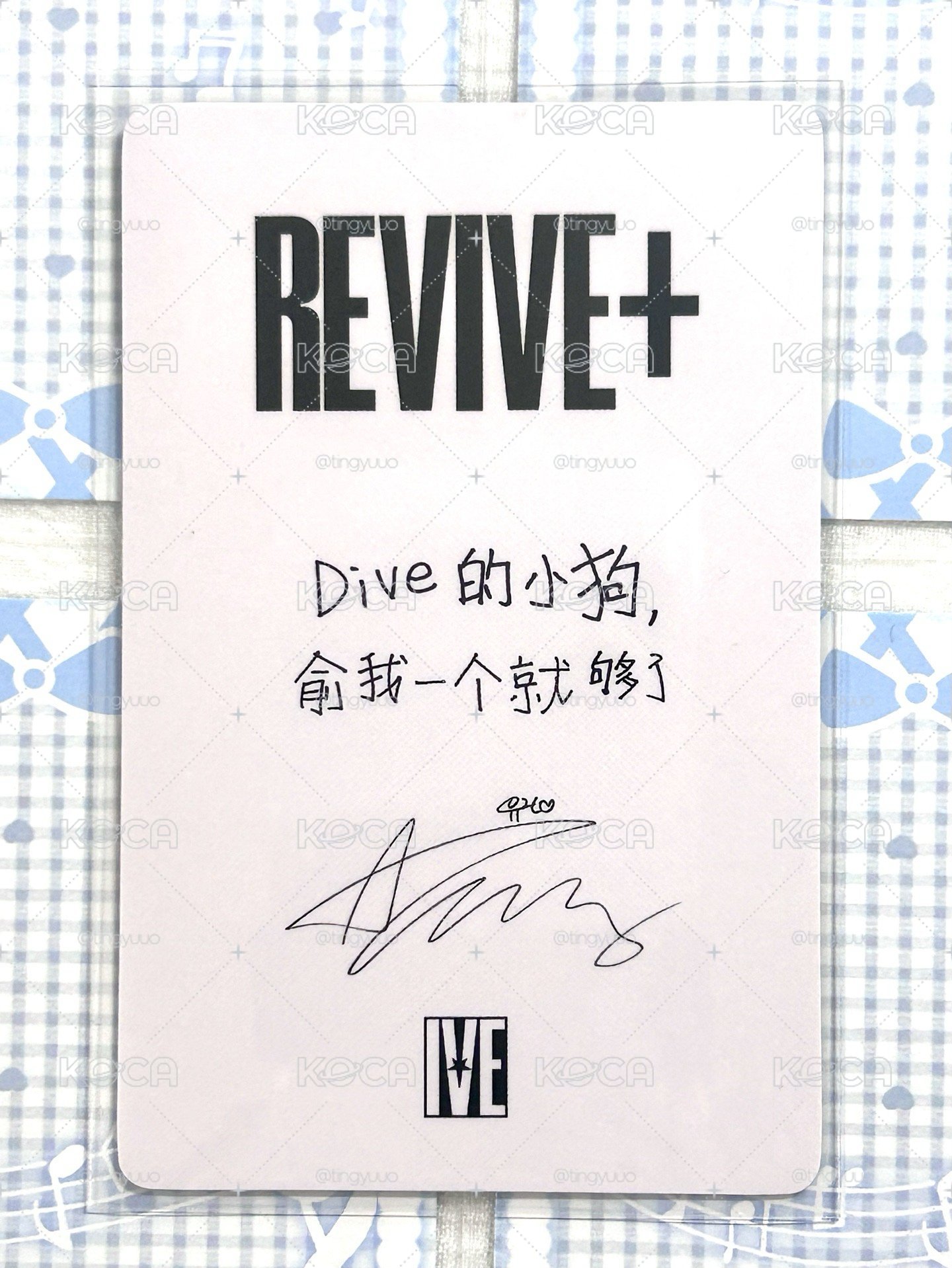 Dive的小狗 俞我一個就夠了