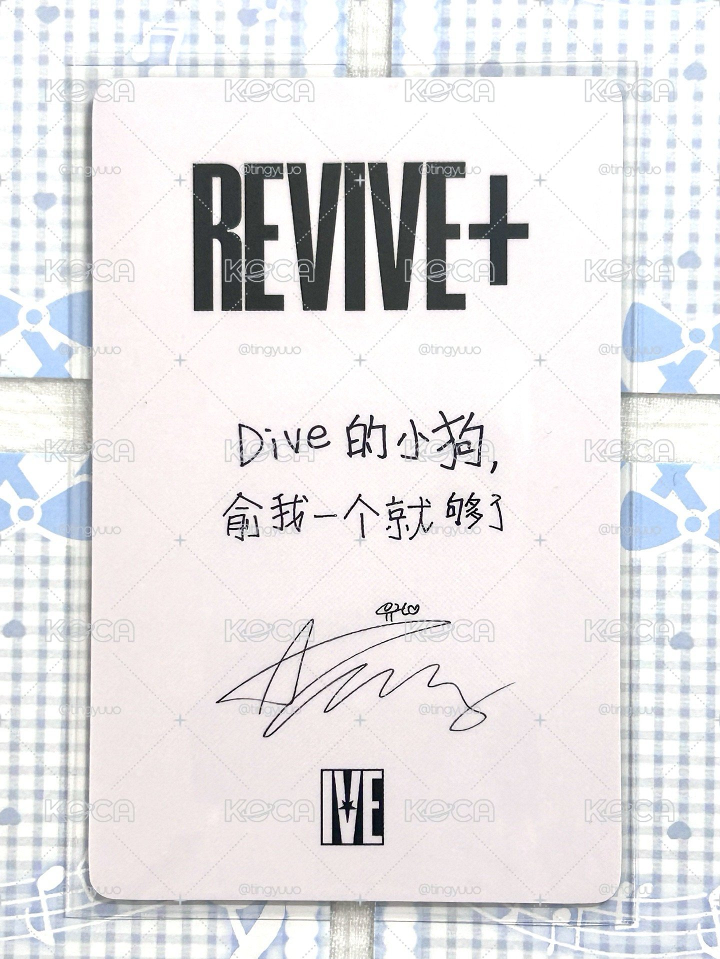 Dive的小狗 俞我一個就夠了2️⃣