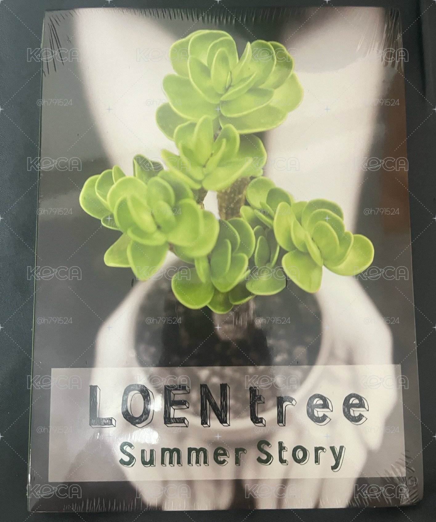 Loen Tree Summer Story 全新