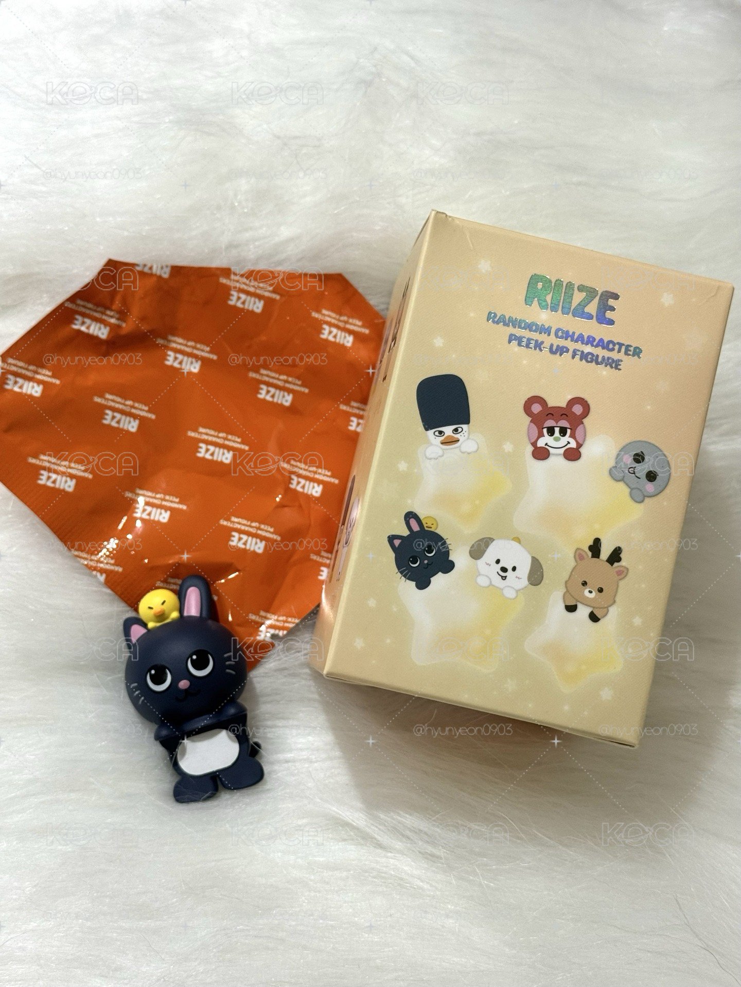 RIIZE PEEK-UP公仔 盲盒