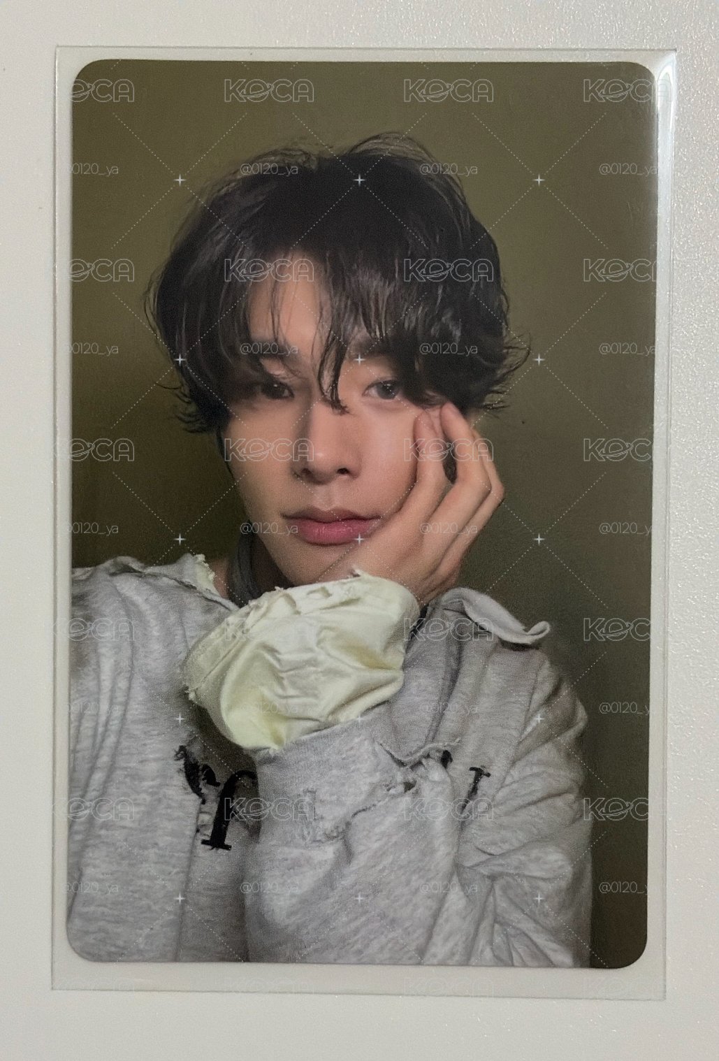 塔店快閃 卷毛小狗