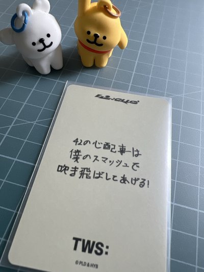 日背申惟🦒