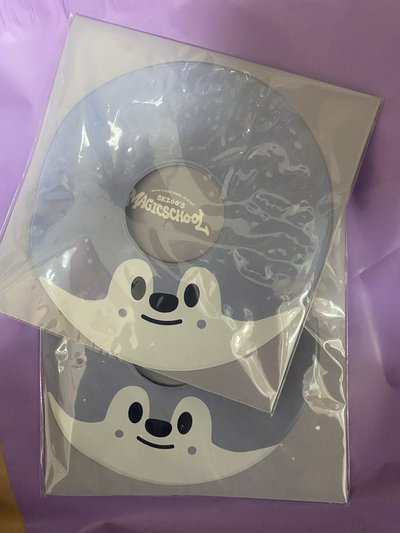 現貨 釜山泳圈含卡