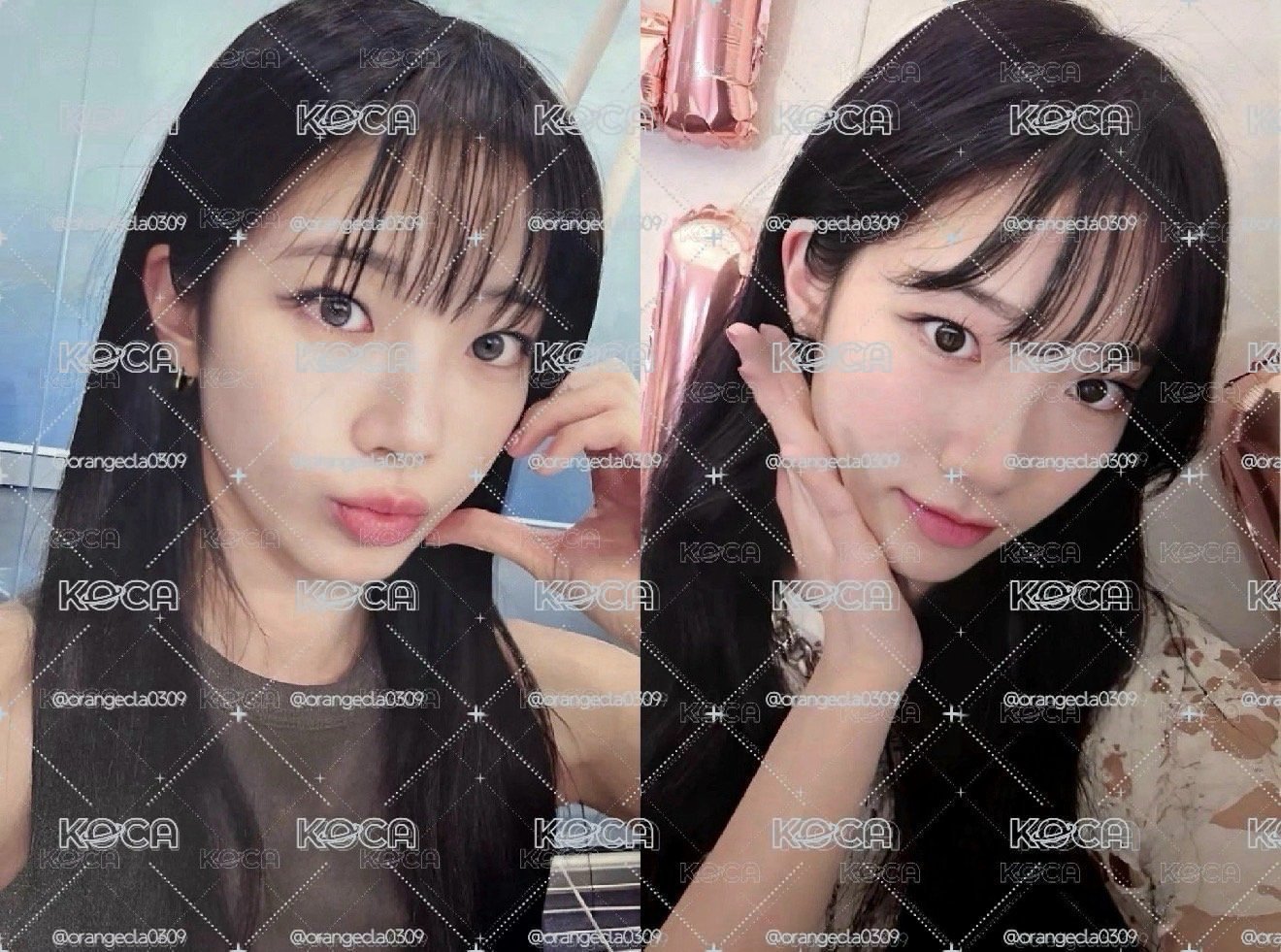 葉
