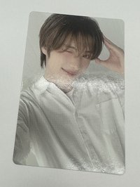 小狗宰