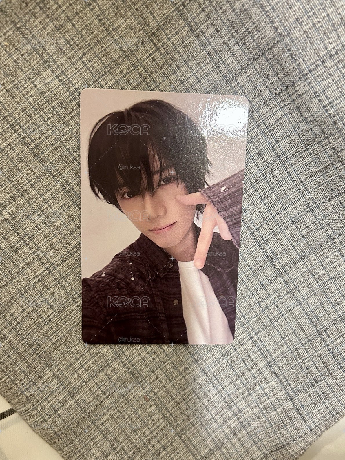 微醺小狗