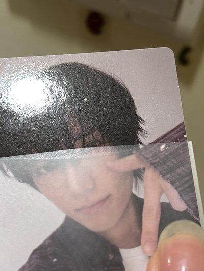 微醺小狗