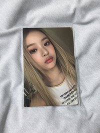 金髮哈