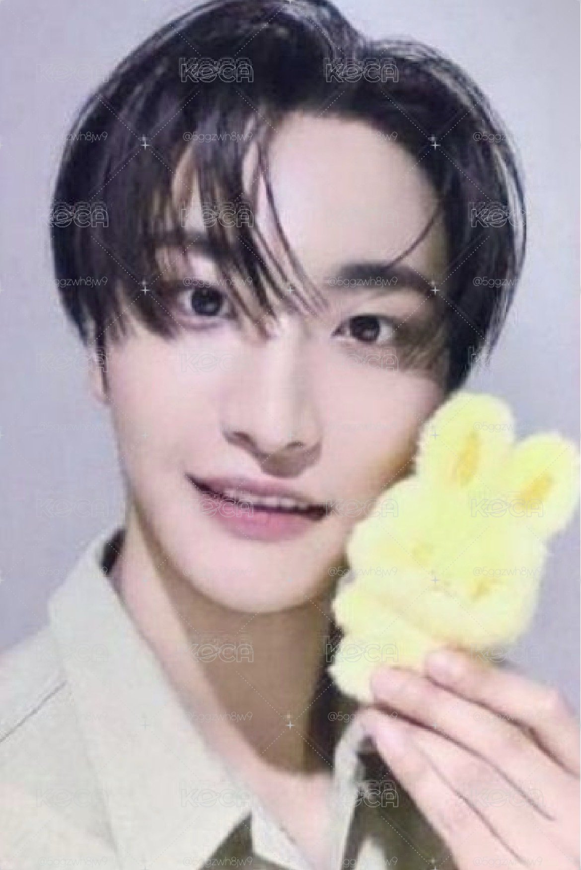 混色/色違🐰