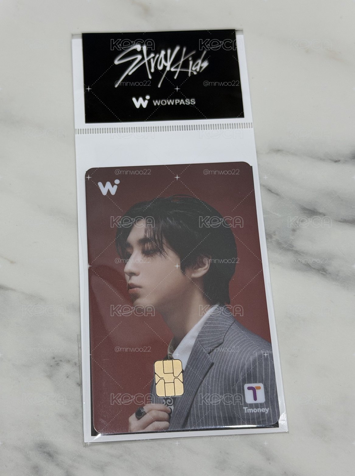 WOWPASS 交通卡 城 全新未拆