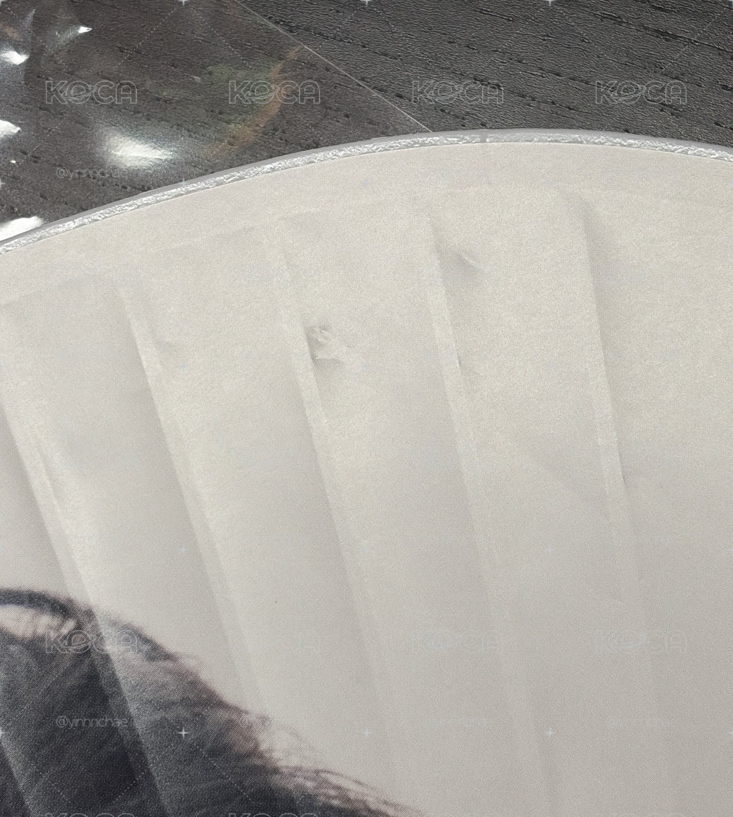 彩瑛 四巡扇子