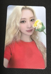 秀雅 Flower