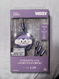 留充電線