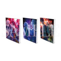 REVOLUTION オフショット キャンバスアート