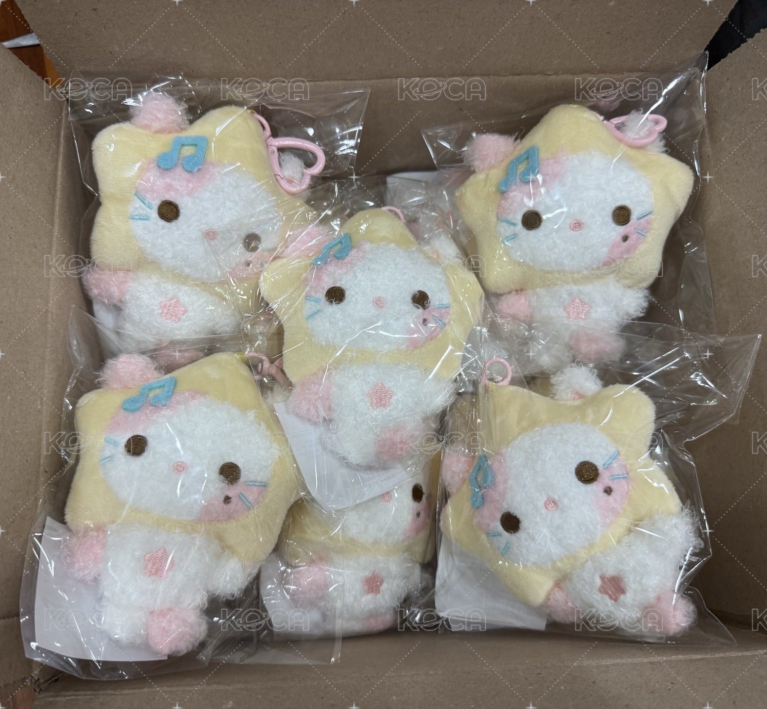 星星貓