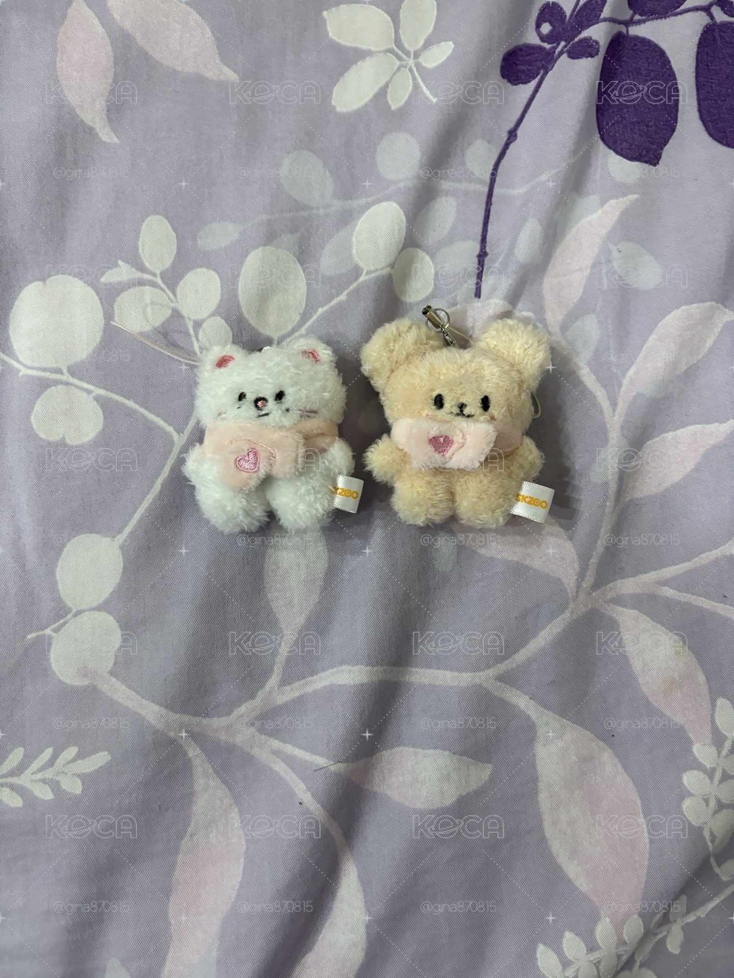原皮玟+辰