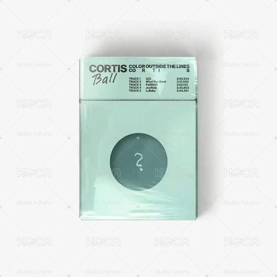 只有一隻！19週年海糰 全新未拆 需綁