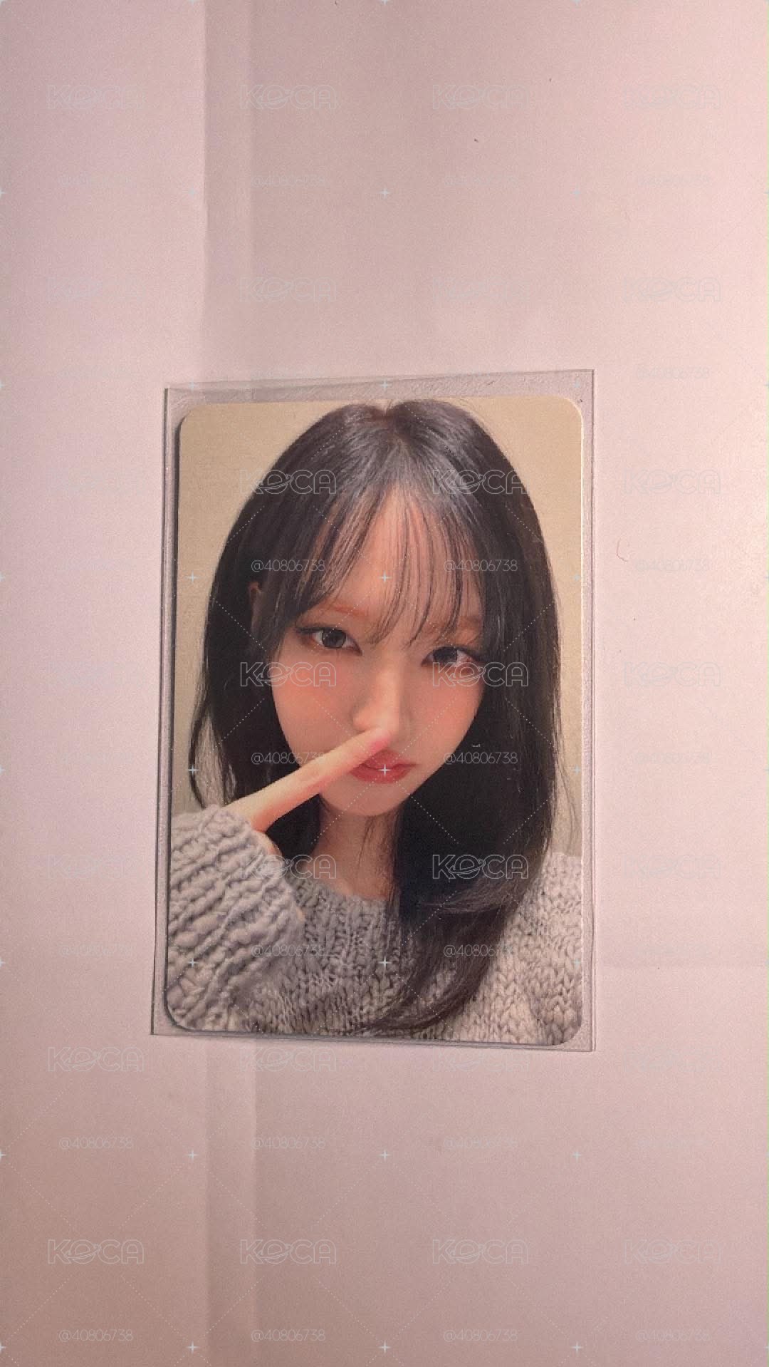 指鼻栗