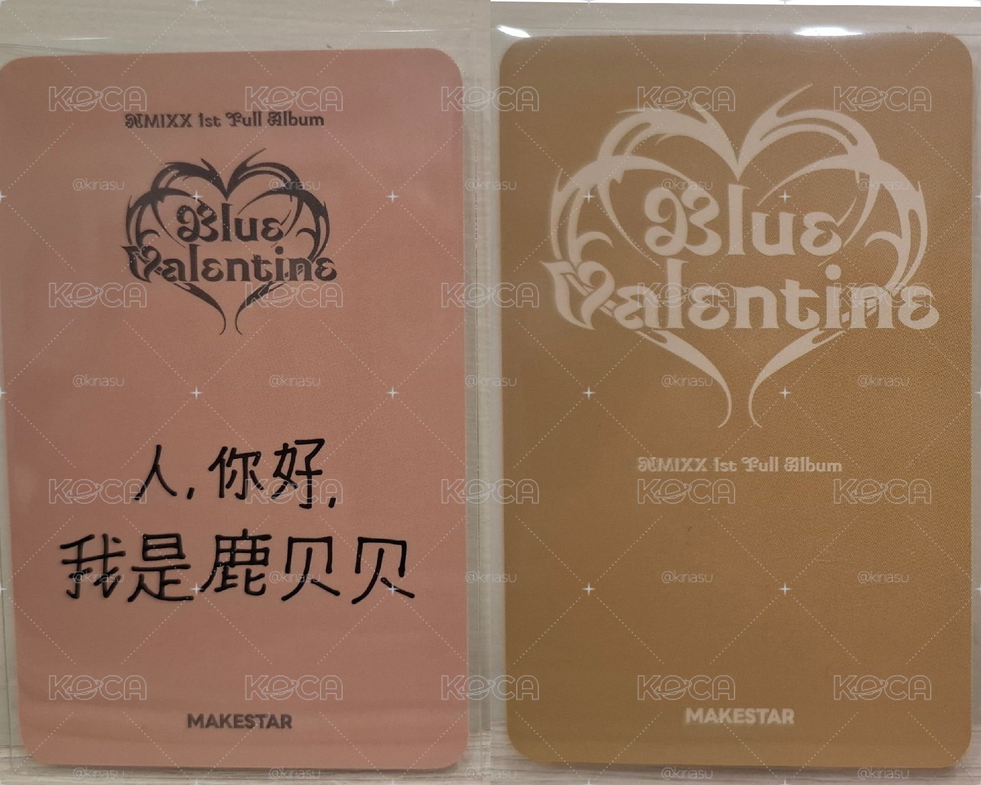 ✅️中背麋鹿+廣州當日裴