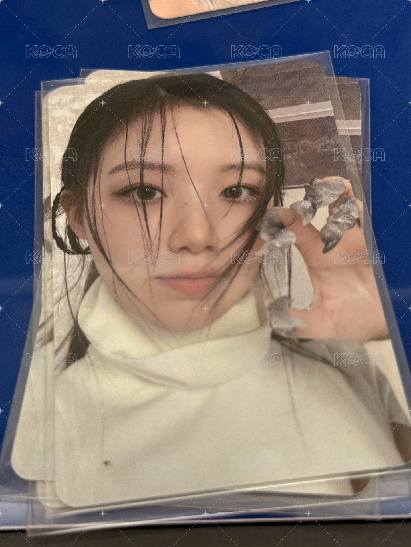 貓抓刷