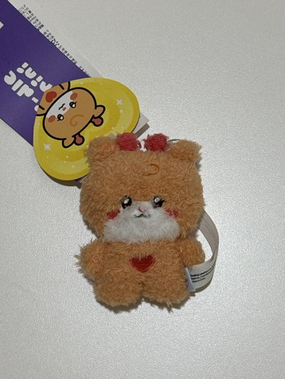 迷七快閃line friends 一代 吊娃 Wonini