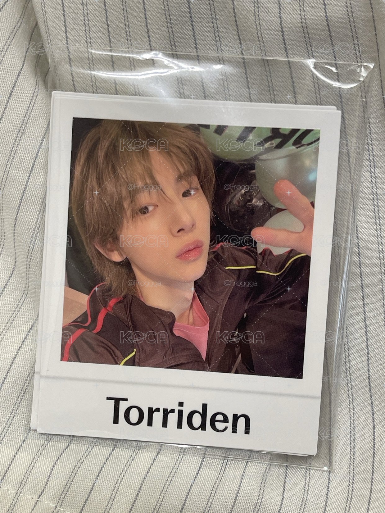 Torriden