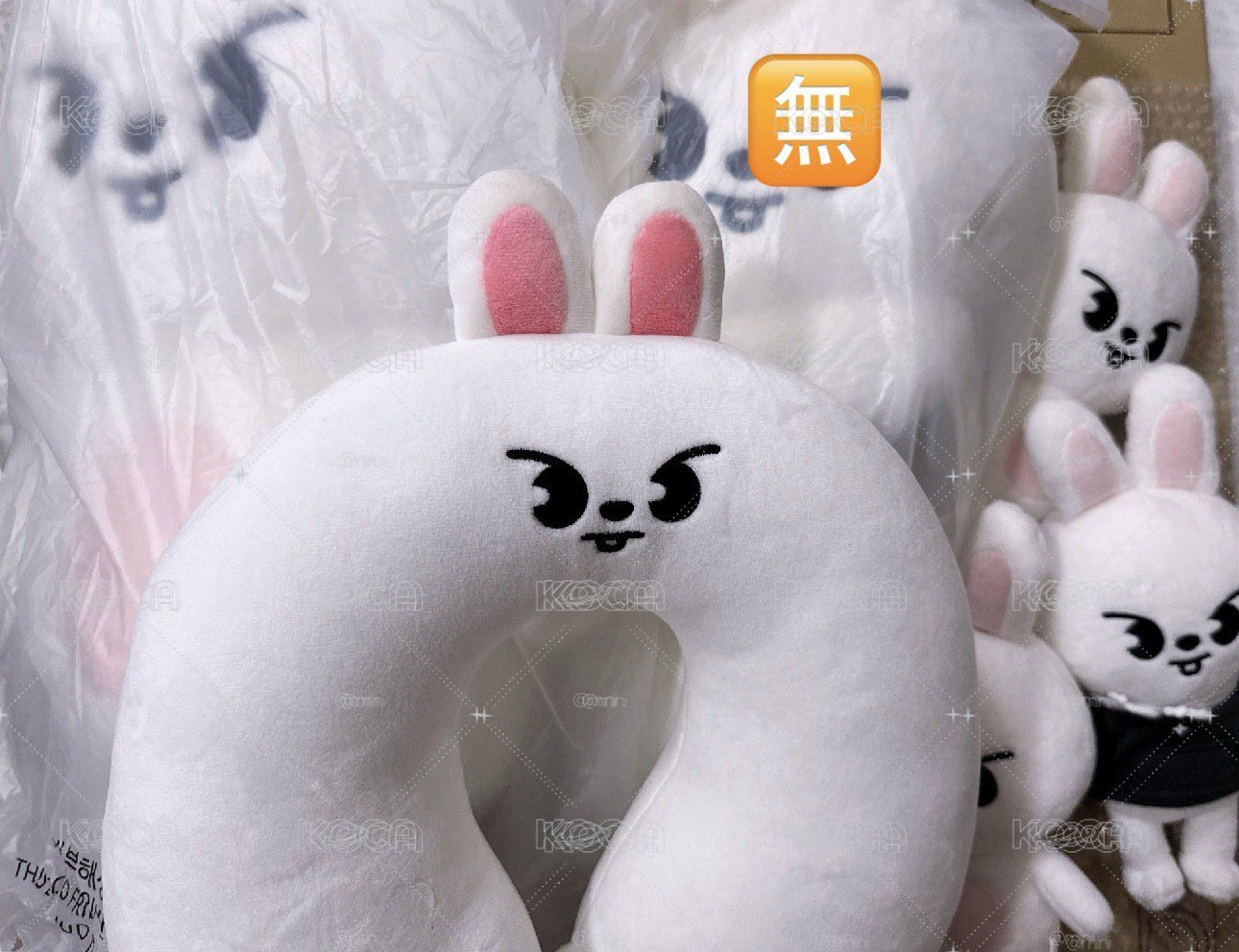 SKZOO 李畢泰迪盤 李旻浩 Leeknow Stray kids
