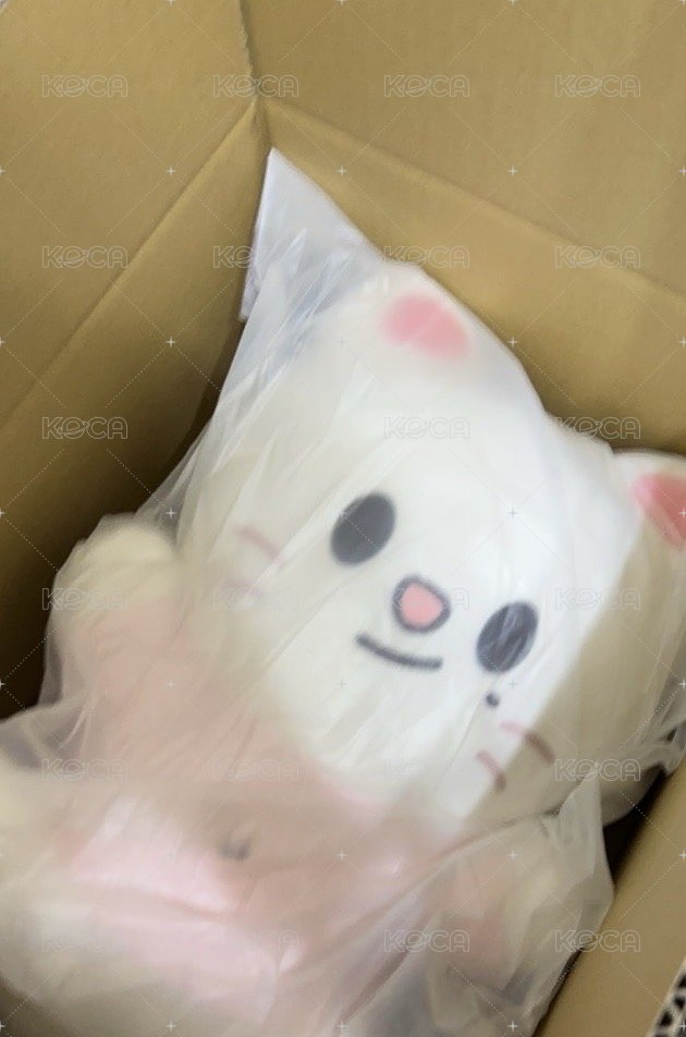 辰大娃