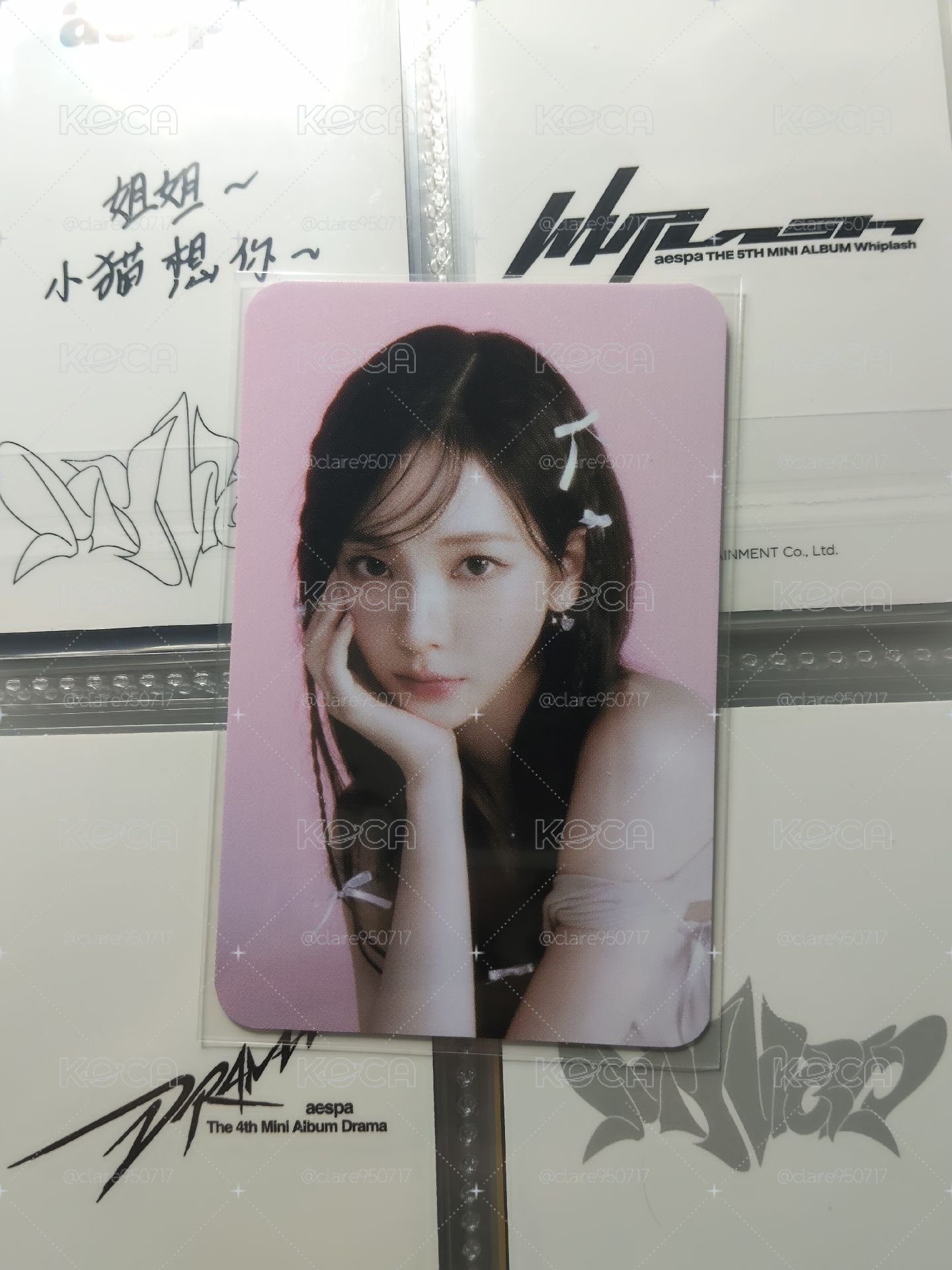 展會蝴蝶結貼紙柚