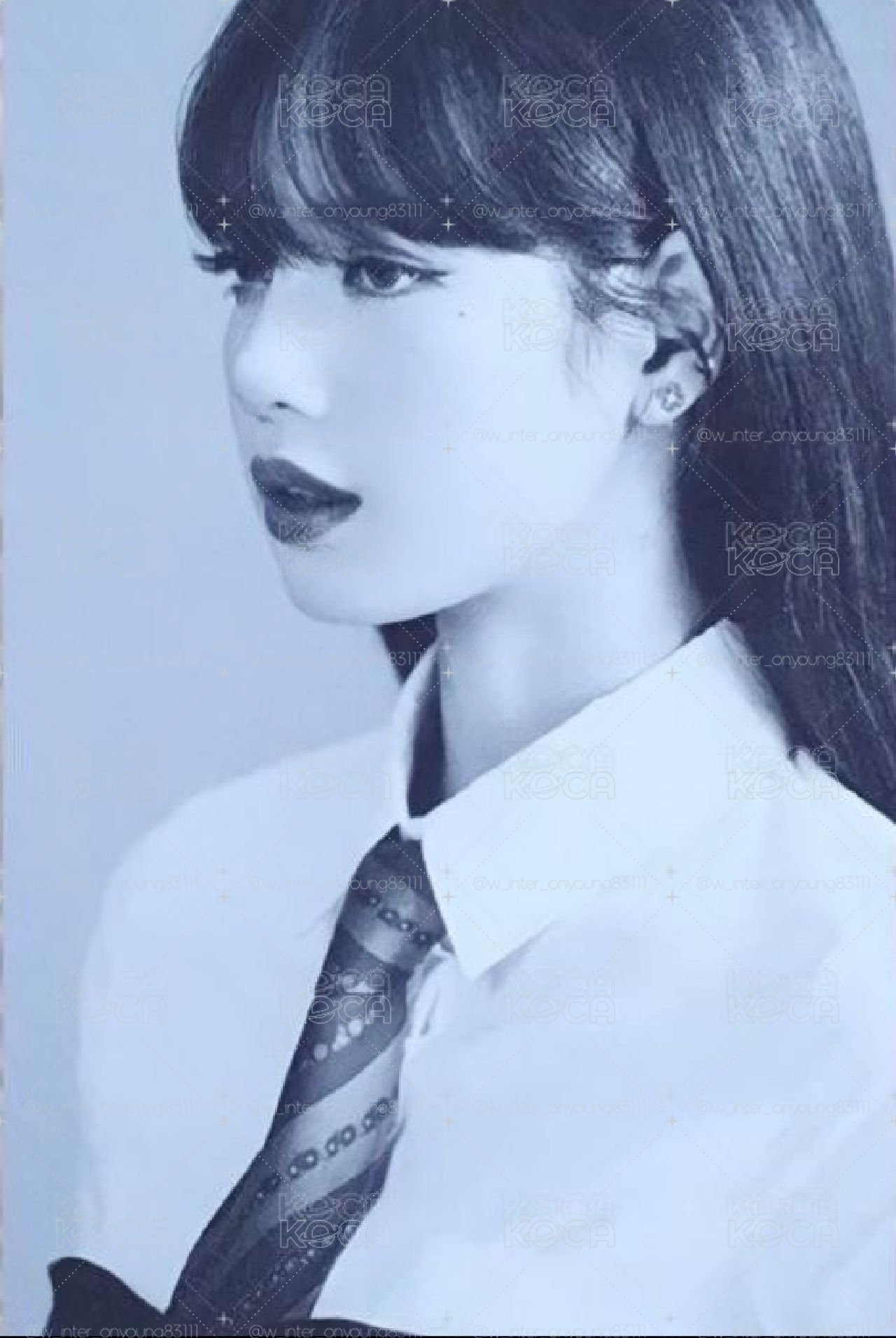 凝望 黑白莎
