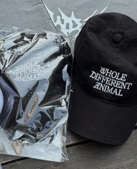 帽子 WDA 第二場逆應援