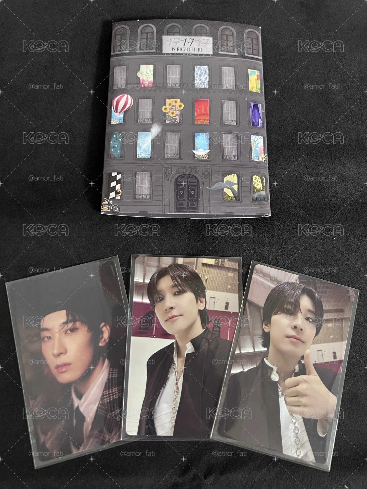 SVT💎 wvs電子專 🐱🐯🐈‍⬛🐸🐻‍❄️🦦