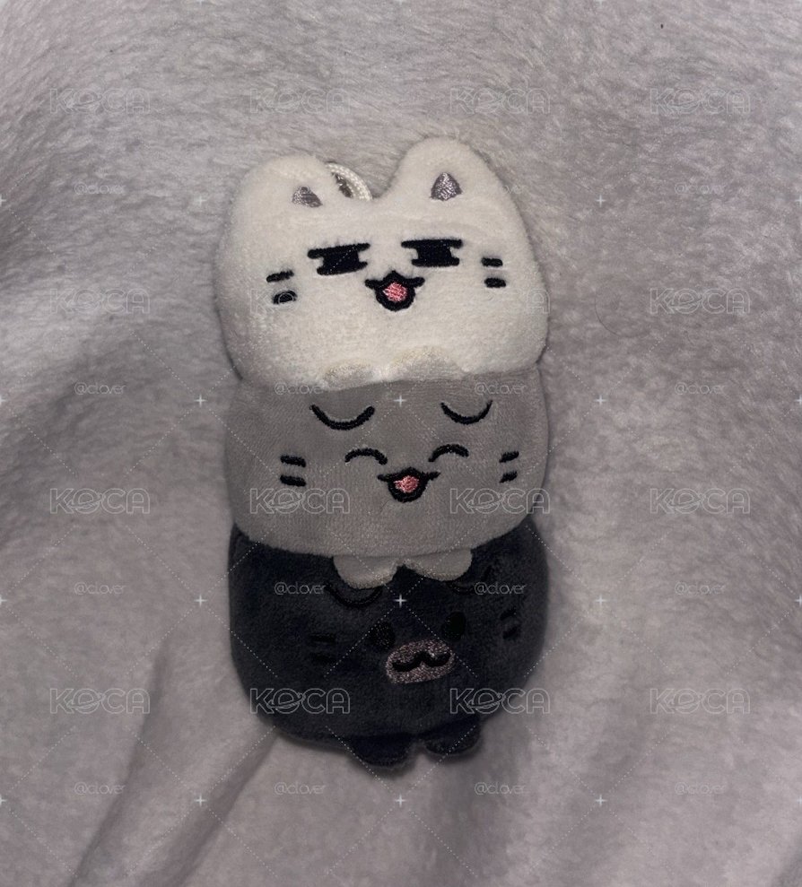 miniteen俊坐娃