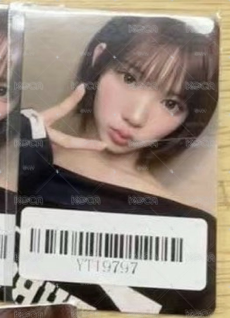 Jiwoo （預購）Focus kms 2.0 v1簽售卡 上海