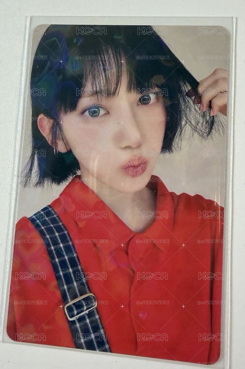 環球預售櫻花