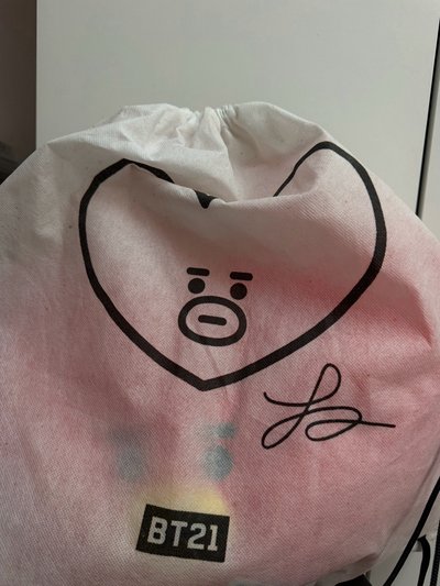 BTS BT21 42cm 初代絕版品 TATA抱枕 金泰亨 V