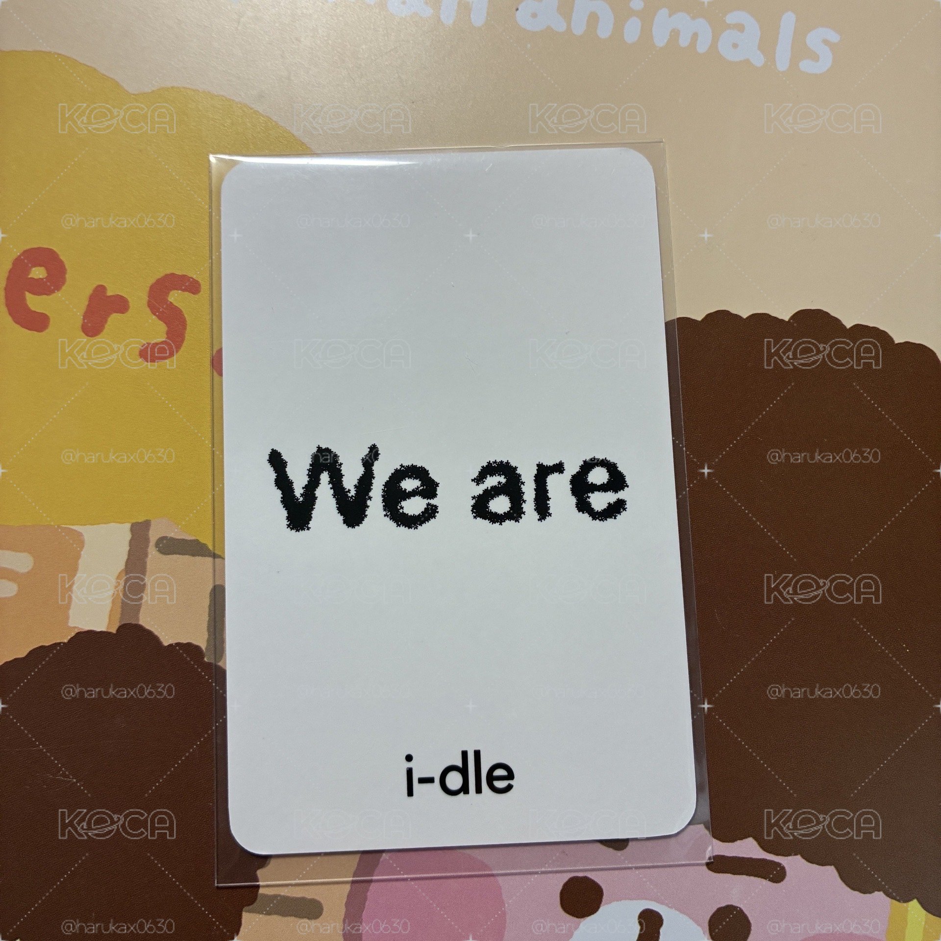 i-dle k4幸運卡 包子琦