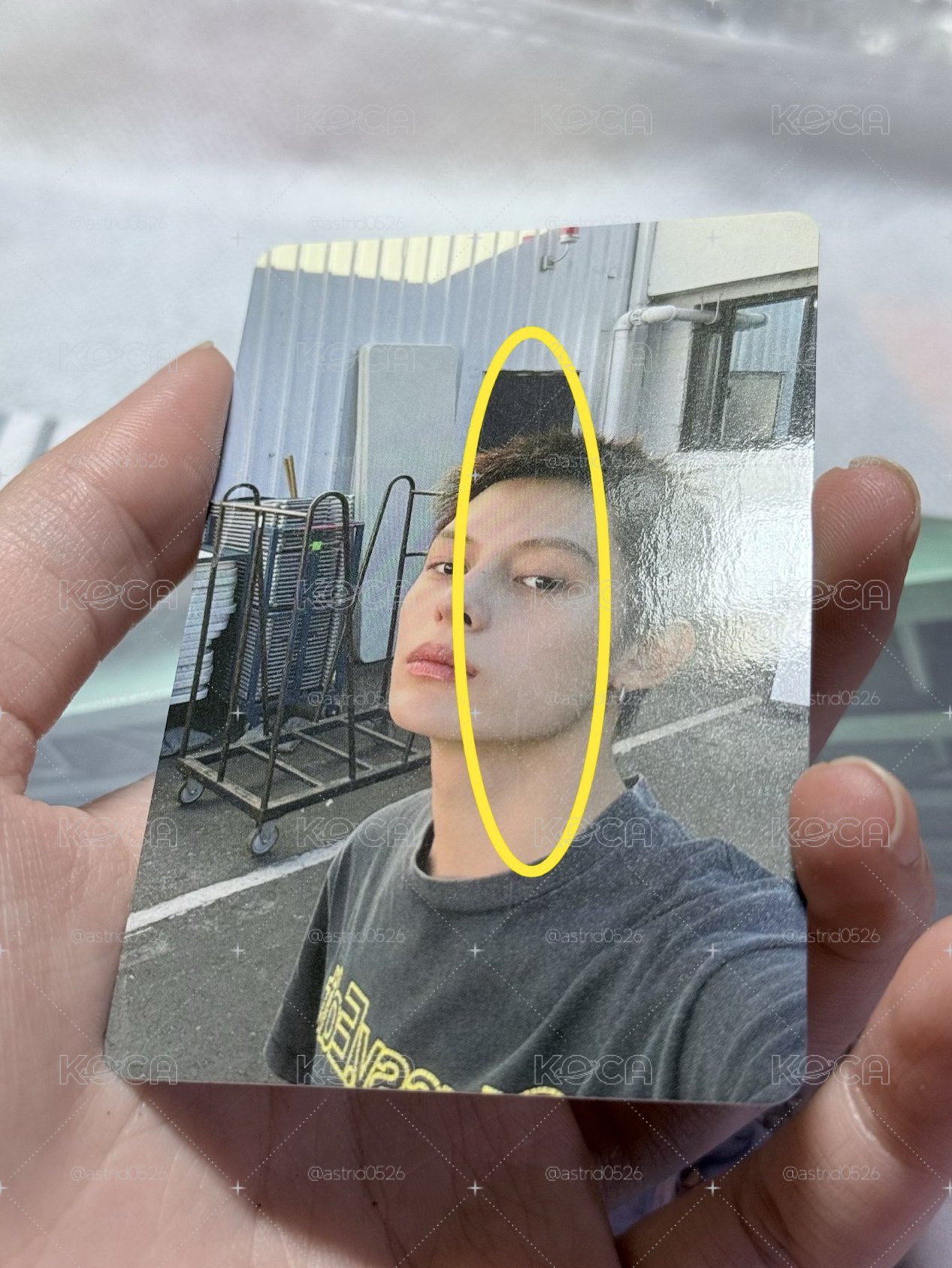 現貨 環球預售特典 凡