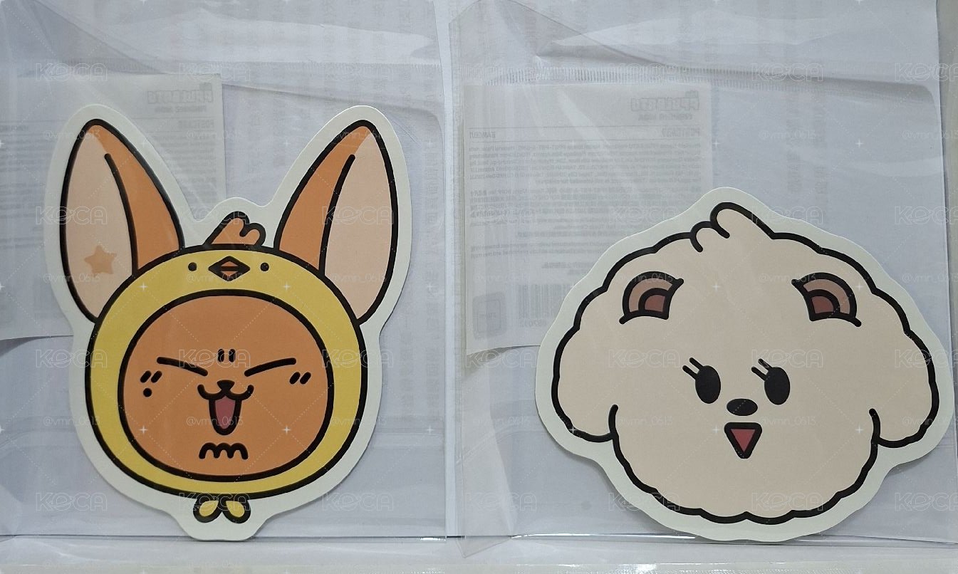 TXT 快閃店 明信片組🦊🐻