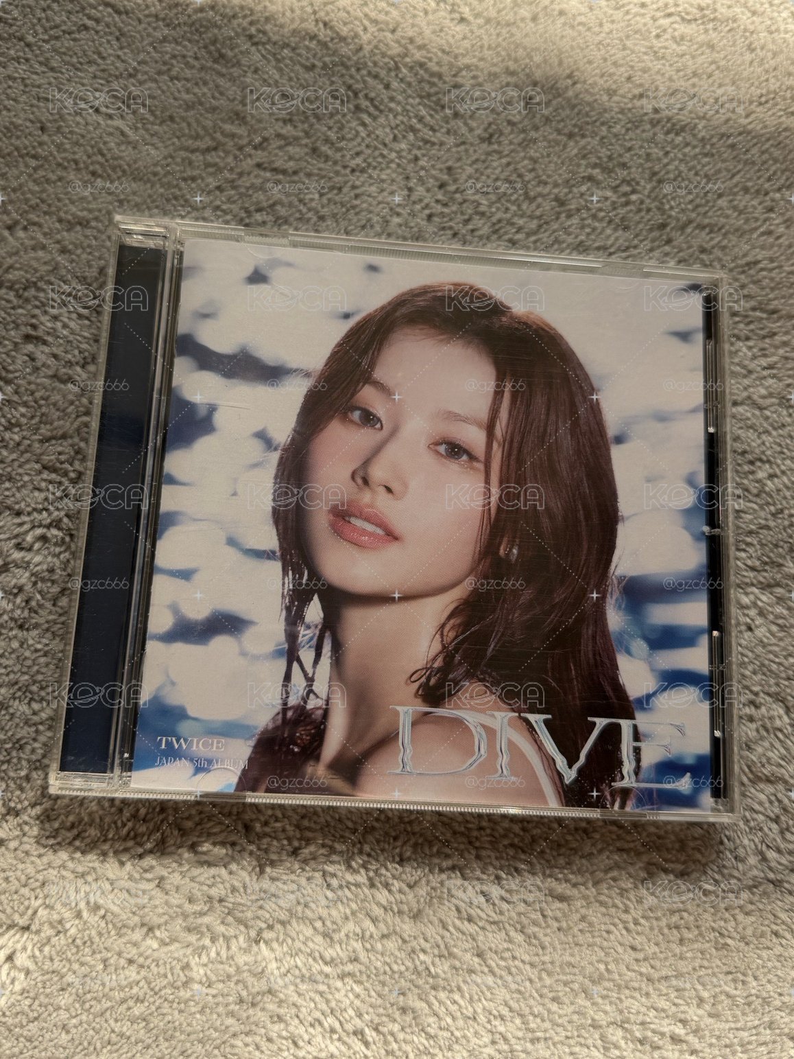 DIVE SANA 空專 現貨