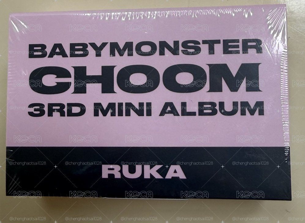 【現貨】춤 (CHOOM) 電子專 Plush Keyeing Ver. 娃專