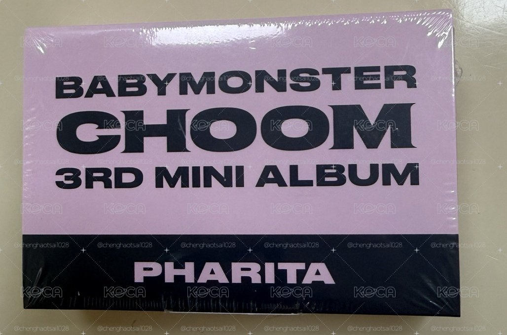 【現貨】춤 (CHOOM) 電子專 Plush Keyeing Ver. 娃專