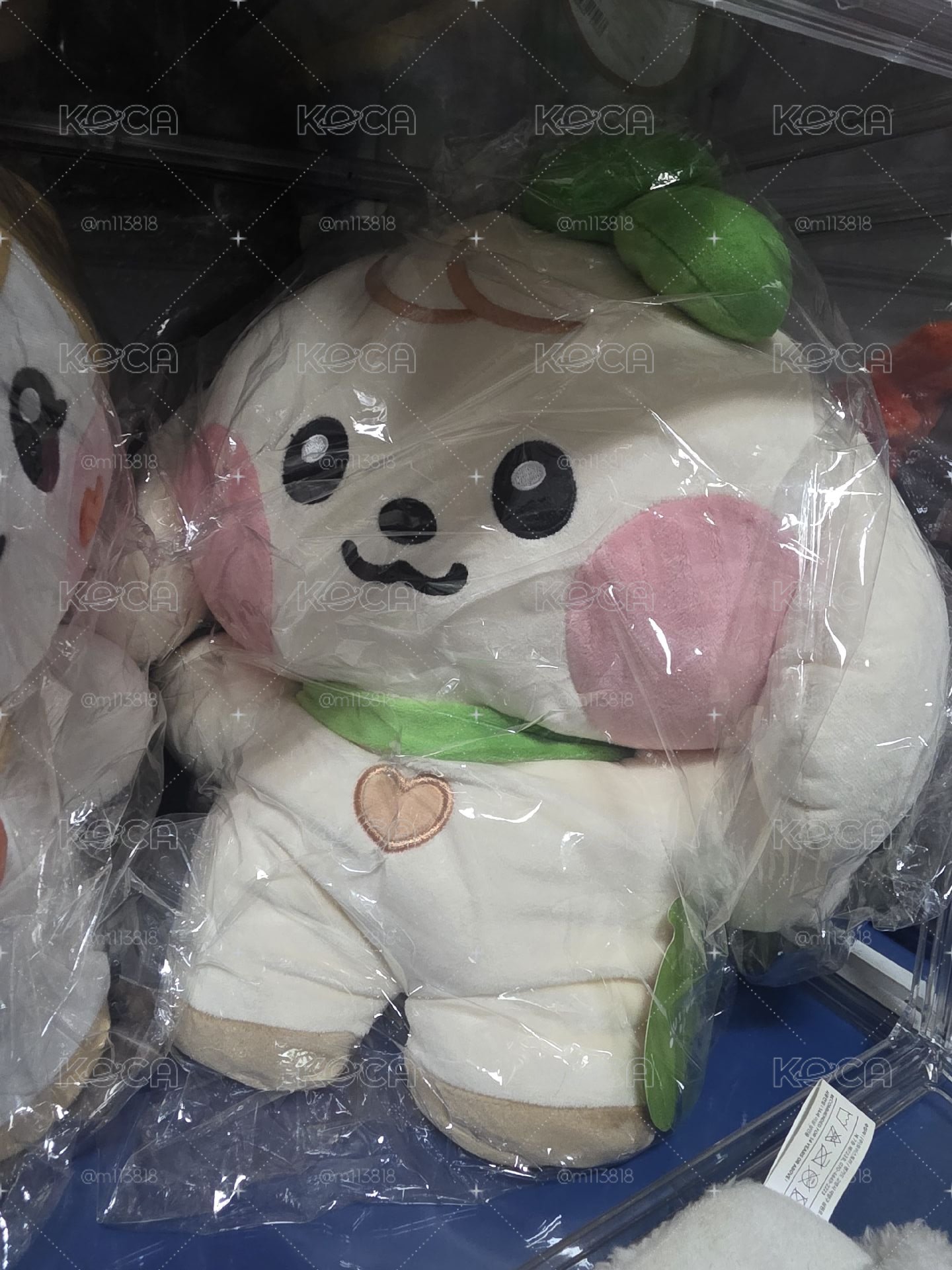 line friends 安大娃