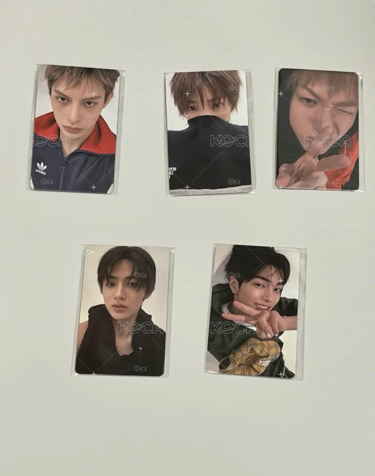 whosfan 