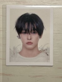 證件照陸