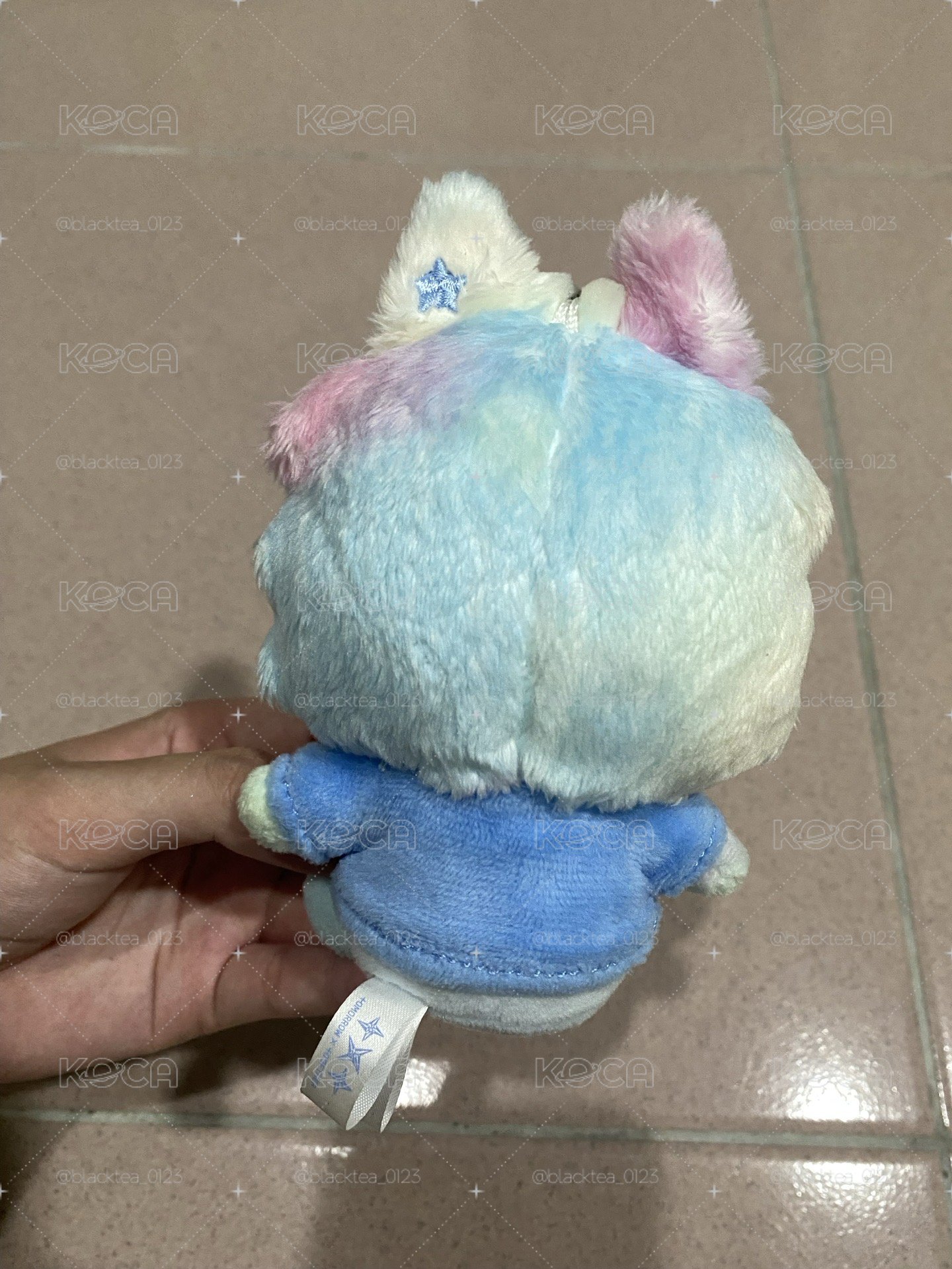 莓果異耳彩猛🫐