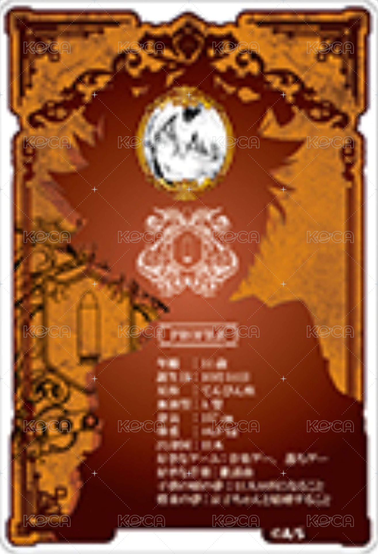 JF 2023 數據卡  背面