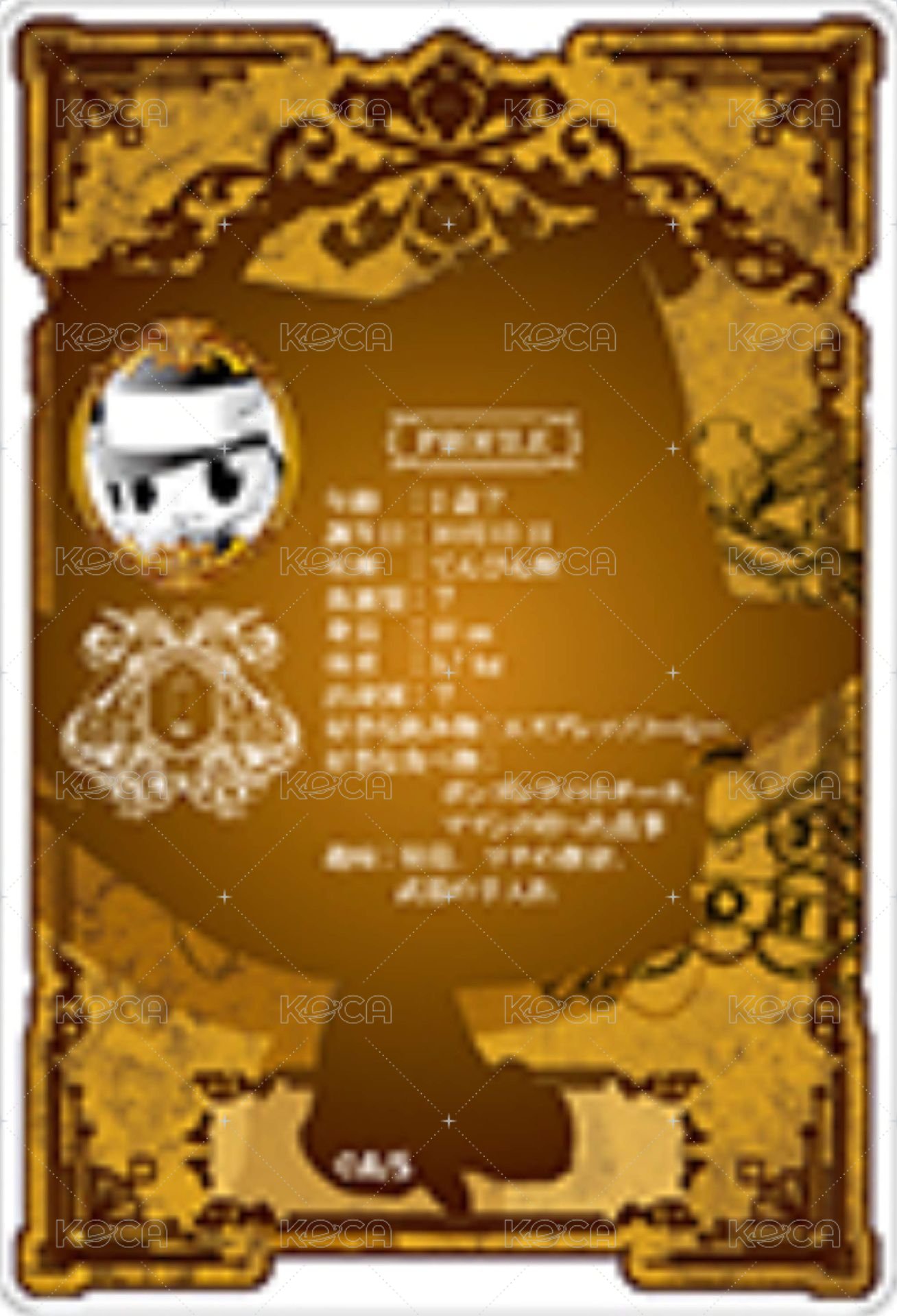 JF 2023 數據卡  背面