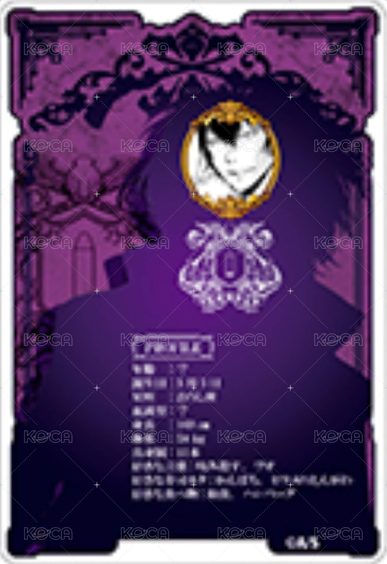 JF 2023 數據卡  背面